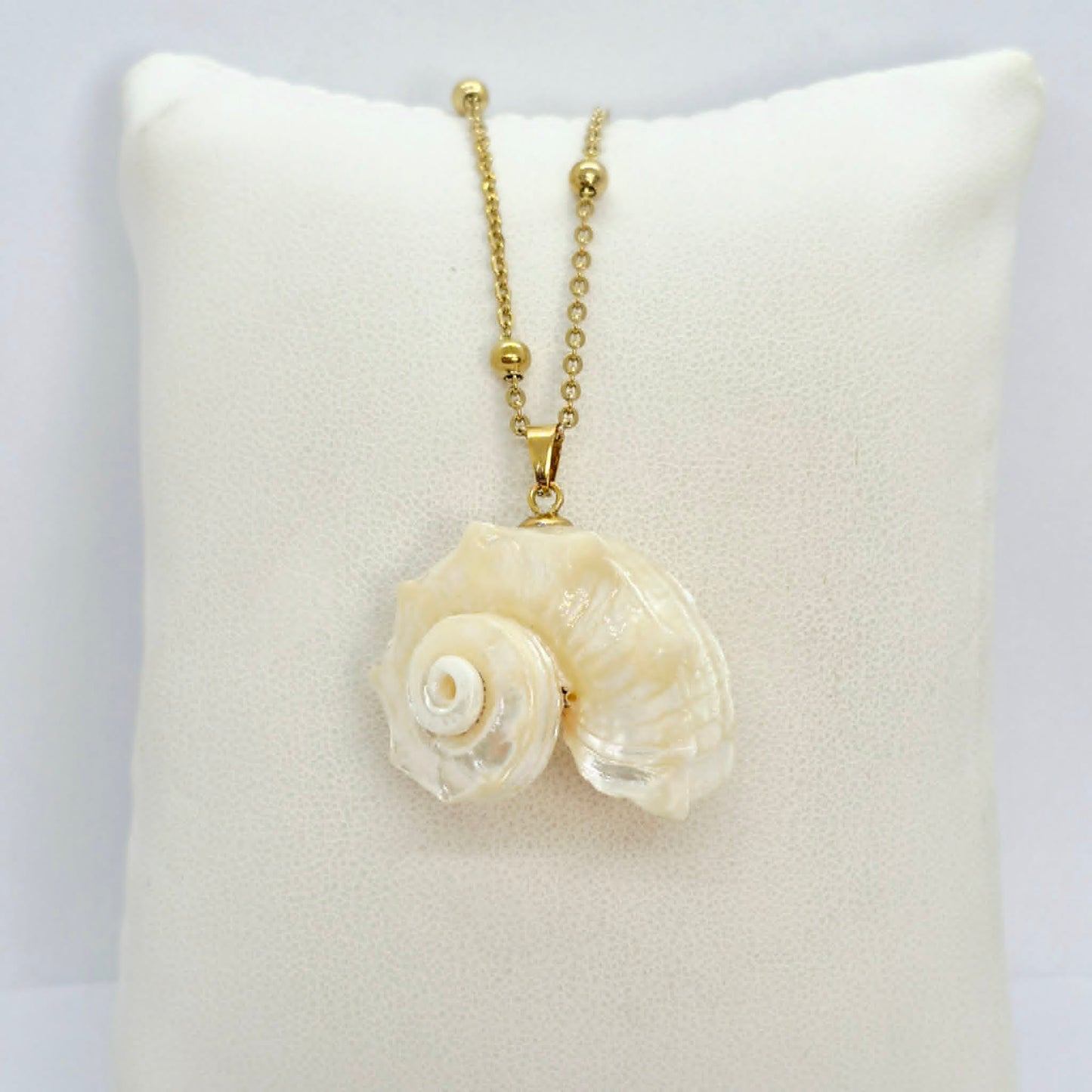 Natural Shell Pendant with Gold Plated Stainless Steel Snake Chain Necklace
