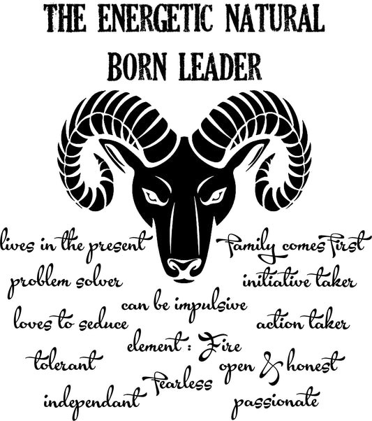 Aries Star Sign Personality Traits TShirt and Hoodie for Men and Women