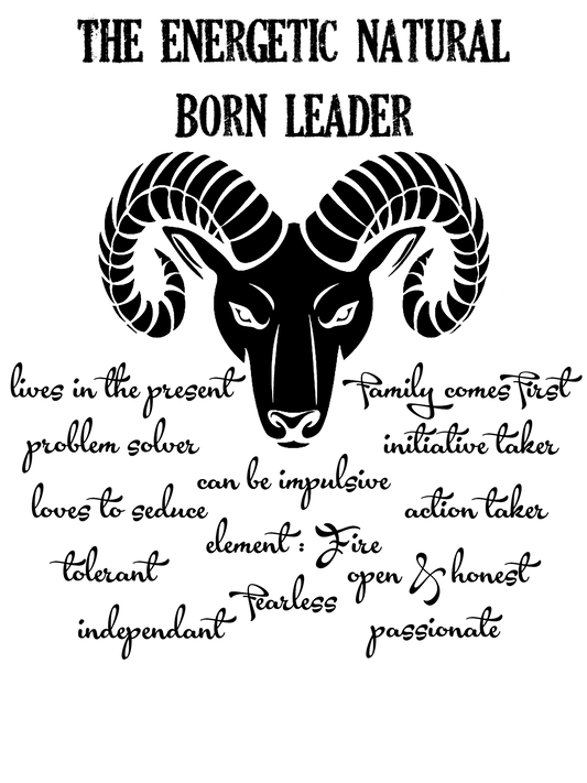 Aries Star Sign Personality Traits TShirt and Hoodie for Men and Women