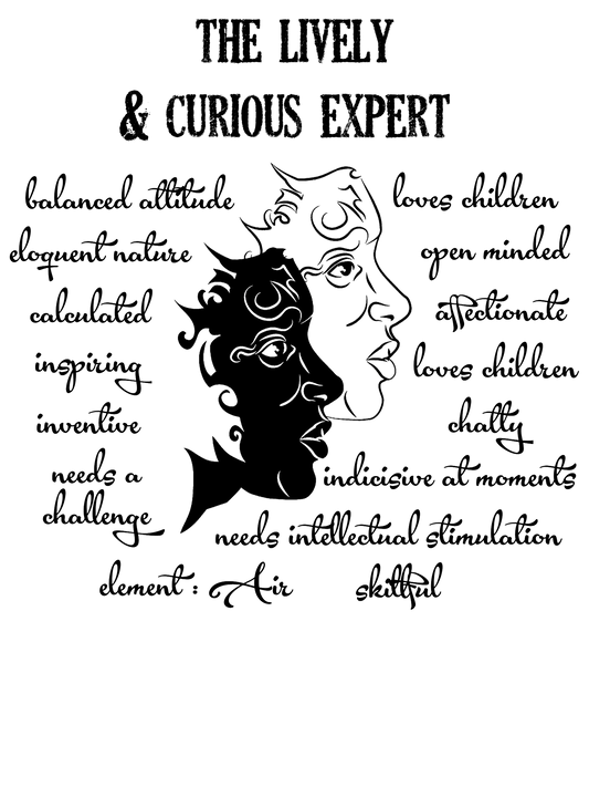 Gemini Star Sign Personality Traits TShirt and Hoodie for Men and Women