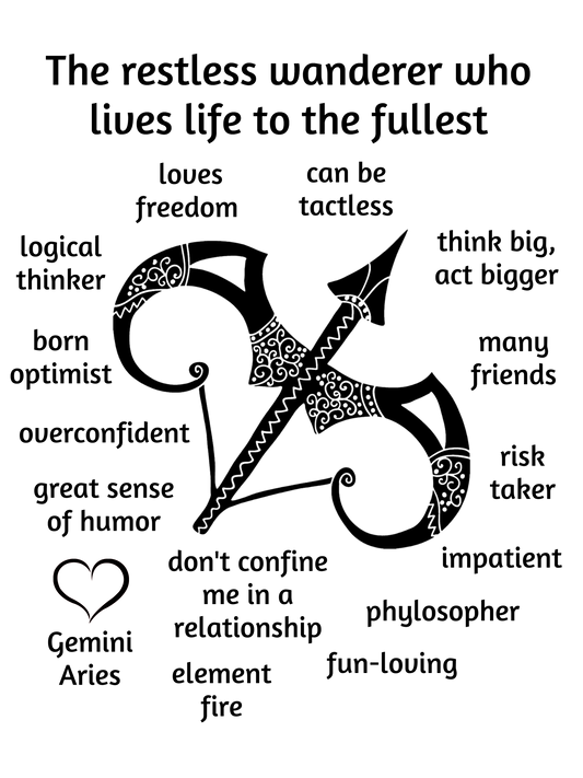 Sagittarius Star Sign Personality Traits TShirt and Hoodie for Men and Women