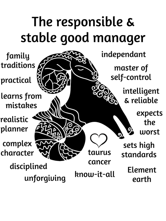 Capricorn Star Sign Personality Traits TShirt and Hoodie for Men and Women