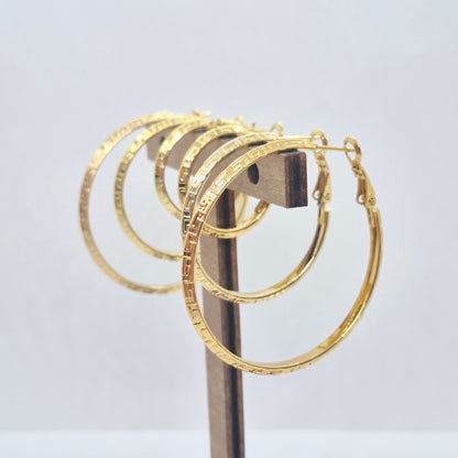 Stainless Steel Gold Plated Hoop Earrings