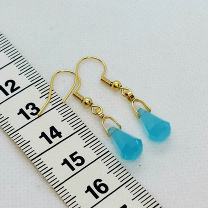 Natural Blue Chalcedony Dangle Earrings in Stainless Steel