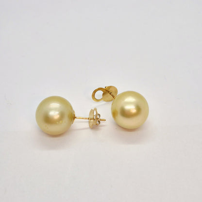 Natural 14mm South Sea Champagne Pearl Earrings in Solid 14K Gold