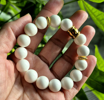 Natural Tridacna Bracelet in 12mm Stones