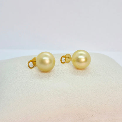 Natural Golden 14mm South Sea Pearl Earrings in Solid 14K Gold