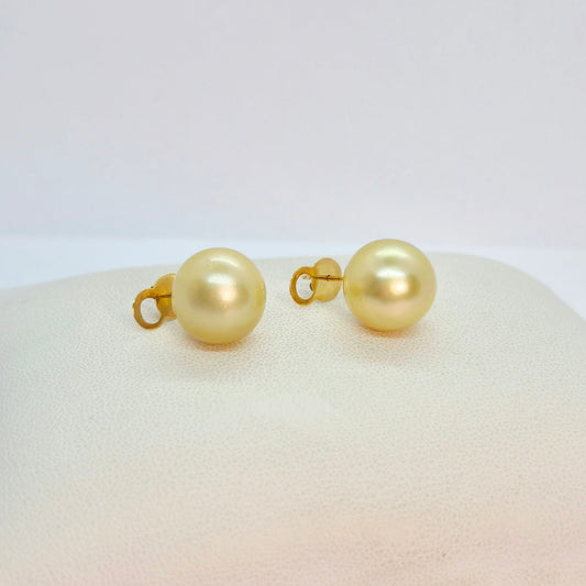 Natural Golden 14mm South Sea Pearl Earrings in Solid 14K Gold