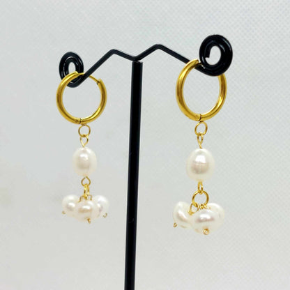 Natural Freshwater Pearl Dangle Earrings in Gold Plated Stainless Steel