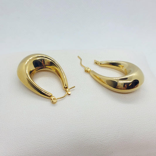 Earrings in Gold Plated Stainless Steel