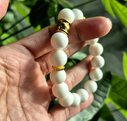 Natural Tridacna Bracelet in 12mm Stones