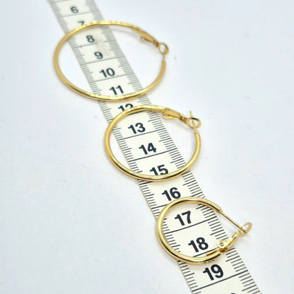 Stainless Steel Gold Plated Hoop Earrings
