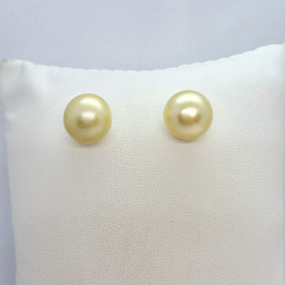 Natural 14mm South Sea Champagne Pearl Earrings in Solid 14K Gold