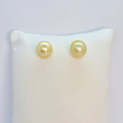 Natural Golden 14mm South Sea Pearl Earrings in Solid 14K Gold