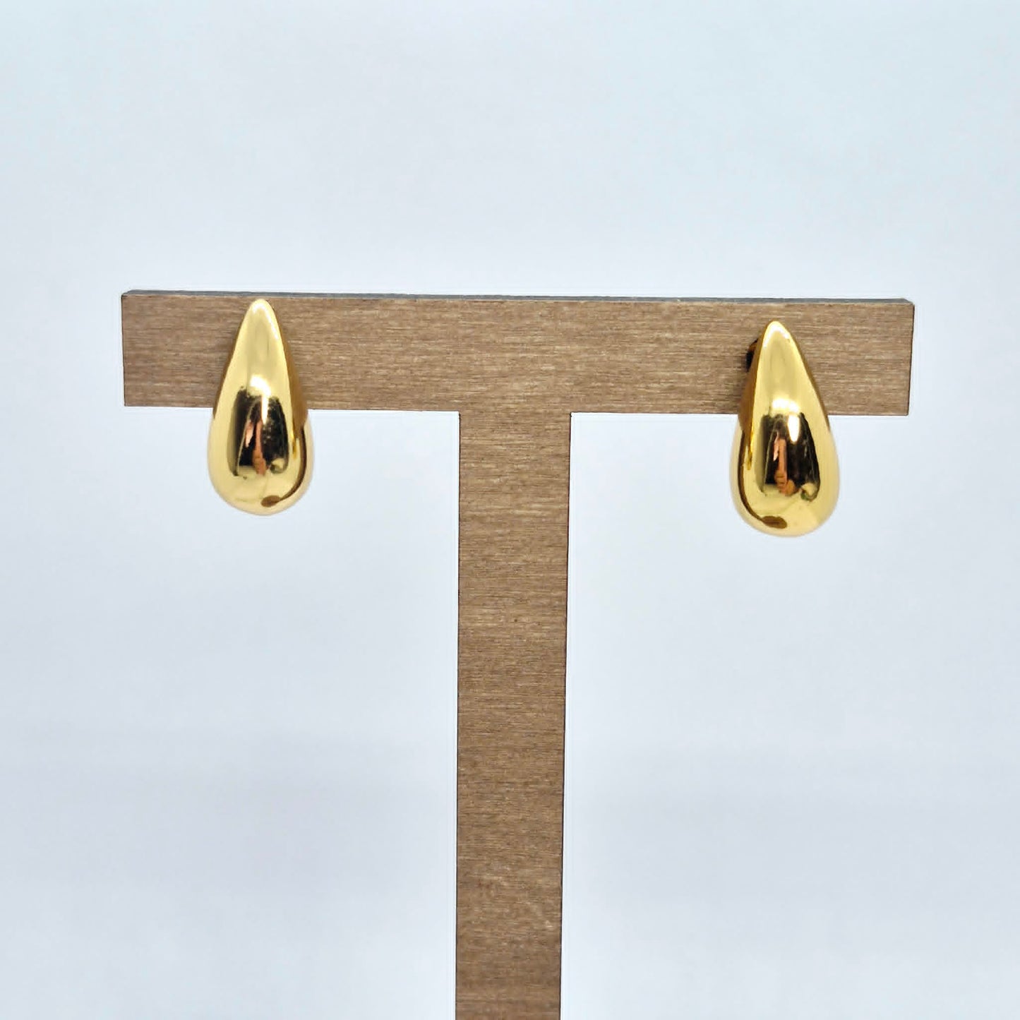 RainDrop Earrings in Stainless Steel Gold Plating