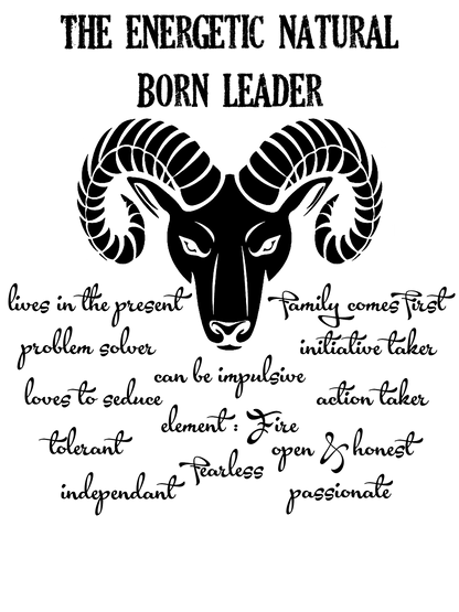 Aries Star Sign Personality Traits TShirt and Hoodie for Men and Women