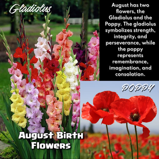 Gladiolus the Flower of the Month August Pendant with Stainless Steel Chain Necklace