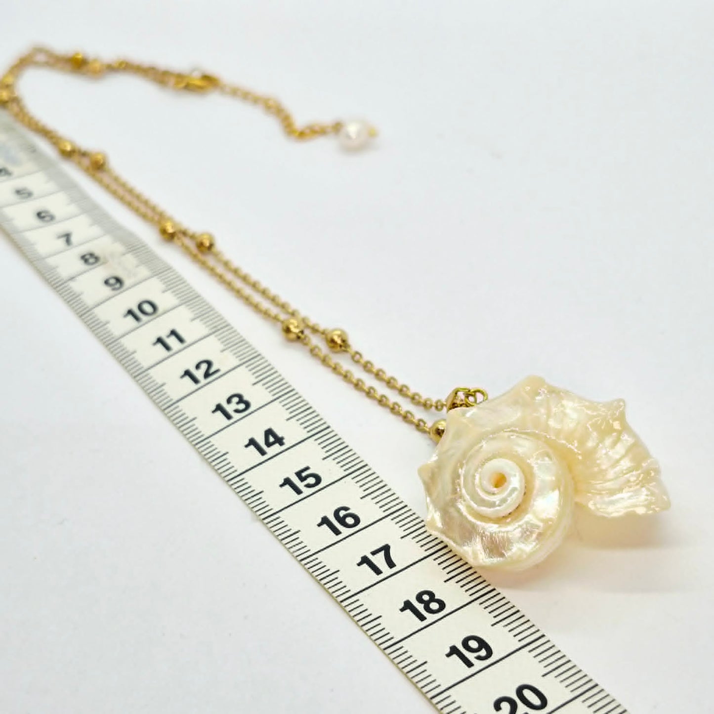Natural Shell Pendant with Gold Plated Stainless Steel Snake Chain Necklace