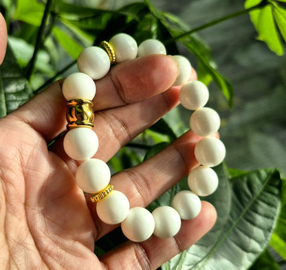 Natural Tridacna Bracelet in 12mm Stones