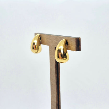 RainDrop Earrings in Stainless Steel Gold Plating