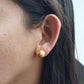 Natural Golden South Sea Pearl Earrings with 13mm Stones in Solid 14K Gold